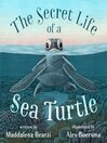 The Secret Life of a Sea Turtle